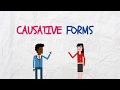 Causative Forms and Patterns in English
