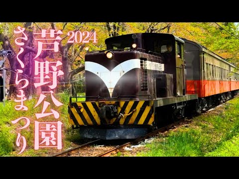 【日本の桜100選】情緒溢れる奥津軽の春 芦野公園 金木桜まつり