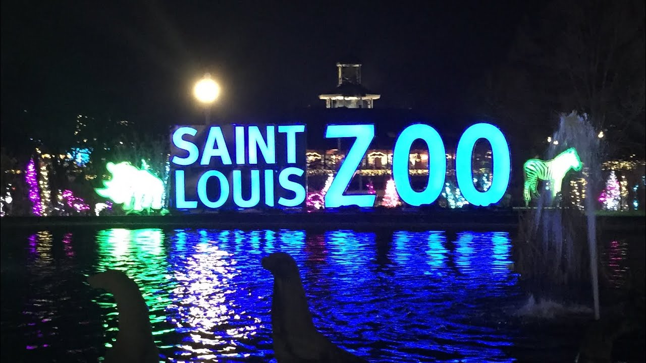 Wild Lights at the St. Louis Zoo 2019 - YouTube