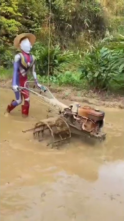 Ultraman Bajak Sawah #shorts #fyp #trending