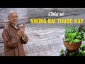 Thầy Huyền Diệu chia sẻ những bài thuốc hay