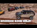 Broncos gone wild  matterhorn logandale nv