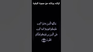 تلاوة عطرة بصوت الشيخ سعد الغامدي من سورة البقرة