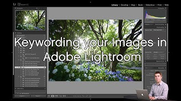 Keywording and Searching for Images in Lightroom