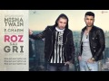 Misha Twain & F.Charm - Roz sau gri (Lyric Video)