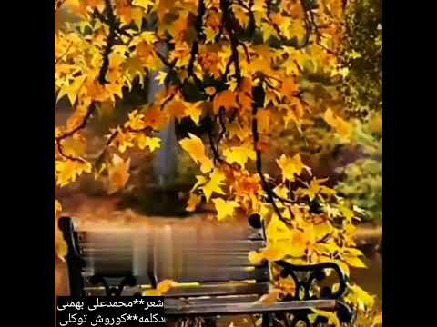 شعر محمدعلی بهمنی دکلمه کوروش توکلی شاعری عاشقی صدای ماندگار دکلمه های ناب دکلمه های عاشقانه