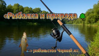 видео: другой берег-6 #поход #туризм #рыбалка #fishing #фидер картинка: другой берег-6 #поход #туризм #рыбалка #fishing #фидер