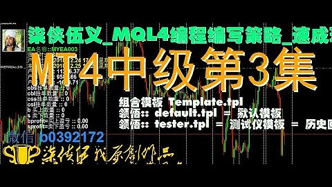 Mql4编程编写_mt4ea_中级速成班课程_柒侠伍义 第3集 tester.tpl