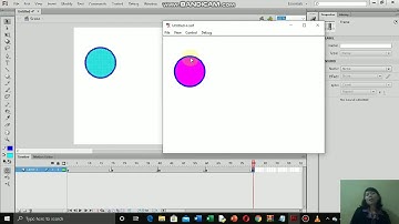 Animasi Perubahan Warna pada Flash