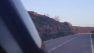 Corzo en la carretera