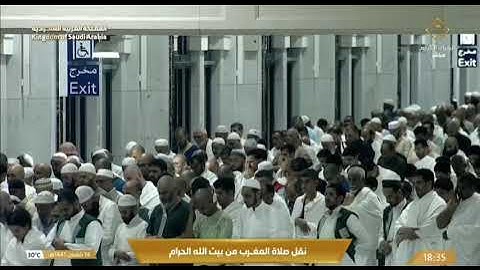 سورة العاديات ، ماهر المعيقلي ، 14 شعبان 1445