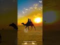 جمال العجوري مكتوب علي عيني حبك خيمه بدويه اكسبلور اغاني بدويه جمال العجوري مكتوب علي عيني حبك خيمه بدويه اكسبلور اغاني بدويه