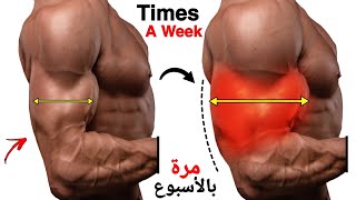 قم بهذه تمارين لتوسيع البايسبس وترايسبس بسرعة - Biceps and Triceps Workout