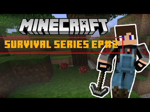 MINECRAFT CRAFT SURVIVAL SERIES EP #2 - YouTube
