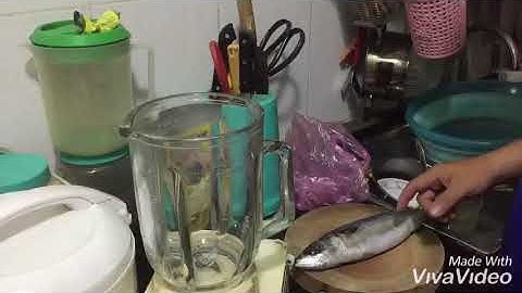 Mồi câu cá Trê hồ dịch vụ siêu nhạy L4