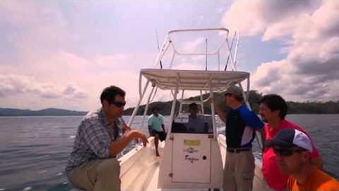 Meet MERCURY  || Alexi Huntley Khajavi, Global Strategy