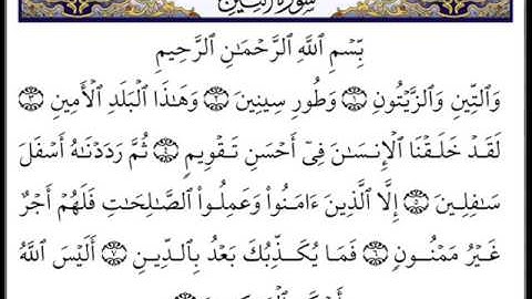 سورة التين - الشيخ توفيق الصايغ