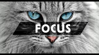 FOCUS (No Copyright Music) #gaming #nocopyrightmusic