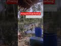 SEBELUM BANJIR BANDANG MELANDA ACEH.#pertanian #petanicabai #pepayacalifornia #aceh #fyp