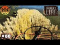 Farmers life  episode 88  lets play