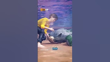 Làm thế nào để bắt được 1 con cá da trơn #fbreels #reels #dongvat #fbreelsfypシviralfbreelsfypシviral