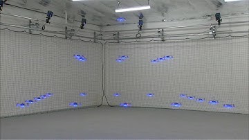 Coordinated drones fly in synchronized flocks