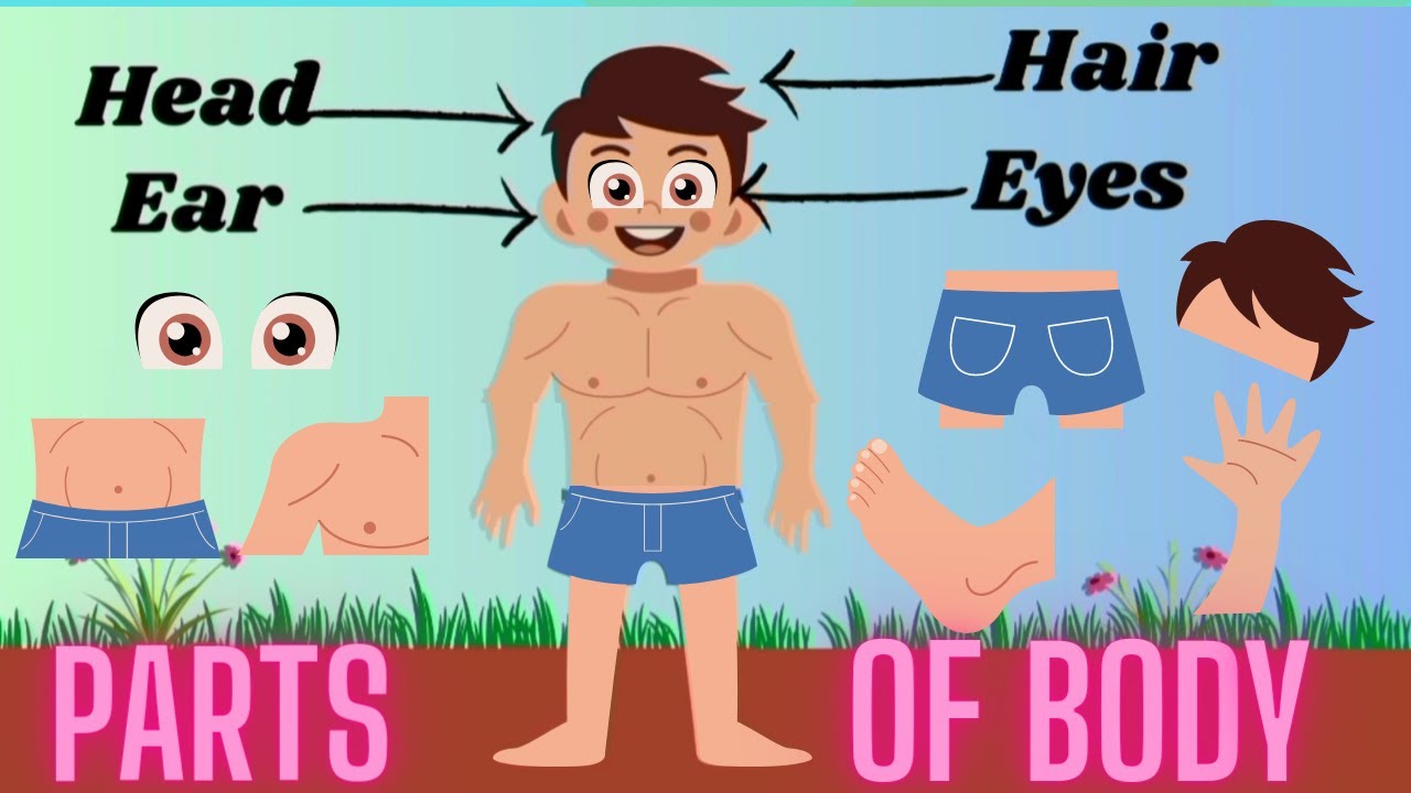 Parts Of Body Learn Parts Of Body Name Body Parts Name For Kids parts-of-body-learn-parts-of-body-name-body-parts-name-for-kids