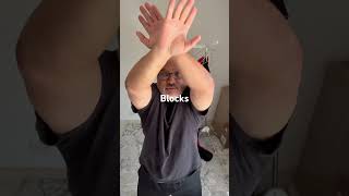 Hawai’i Kung fu All Blocks cheat sheet