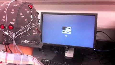 SSVEP Robot BCI