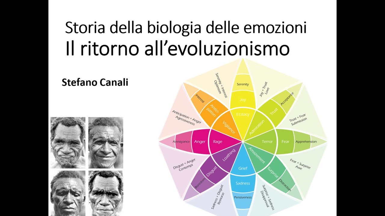 Storia Delle Emozioni Plutchik Ekman E Il Ritorno Allevoluzionimo