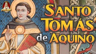 La Vida de Santo Tomás de Aquino🌟 Historia y Milagros Revelados🎙️91° PODCAST Caballeros de la Virgen