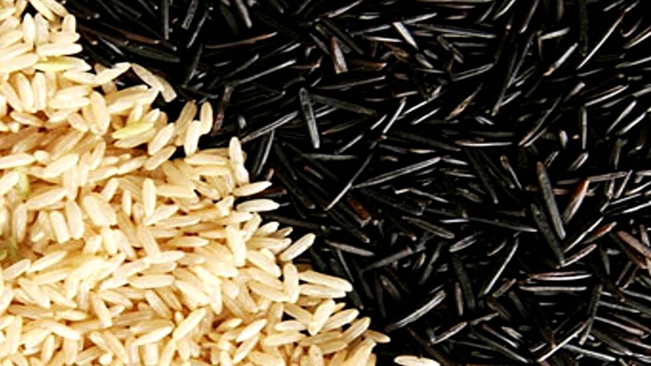 Дикий рис польза. Рис бурый и дикий. Рис дикий черный. Черный длинный рис. Дикий длинный рис.