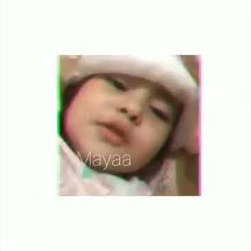 Lo semua kontol