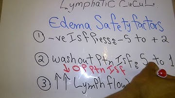 CVS new system (Continuation of Lymphatic circulation) dr mohamed fayez