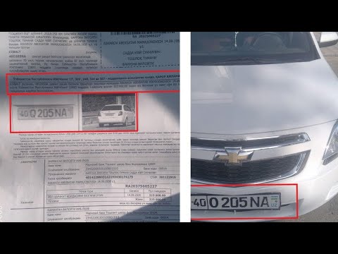 Авто жарима текшириш