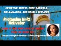 Oxidative Stress Quick Explanation