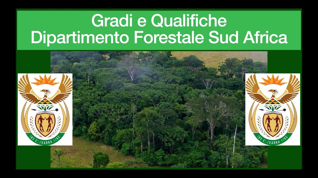 Gradi e Qualifiche Dipartimento Forestale Sud Africa YouTube