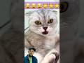 My cat is good at acting #cat #funny #funnycatsanddogsnew2023