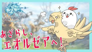 【FF14】あざらしといくFinalfantasy14【#1】