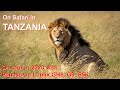 TANZANIA 2023 - My latest African photo safari with Panasonic Lumix GH6, G9 and S5 Mark ii