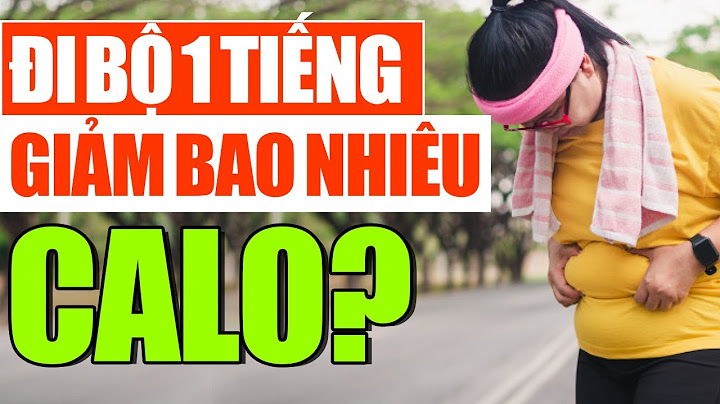 Tập thể dục 1 tiếng đốt cháy bao nhiêu calo năm 2024