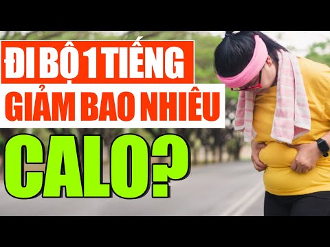 Video: Bạn Có Thể đốt Cháy Bao Nhiêu Calo Trong Khi đi Bộ?