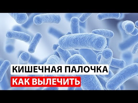 Video: E coli таякчабы же кокк формабы?