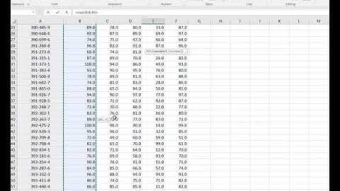 Excel Grader Project 3