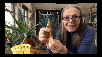 Grade 4 - Renewable & Nonrenewable Resources