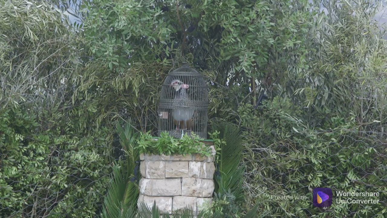 Juan García Coronel y 