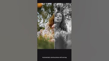 Fotor Colorize