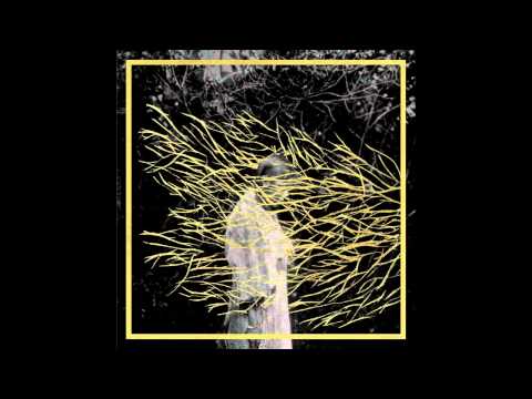 Forest Swords - The Weight Of Gold