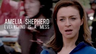 Amelia Shepherd | Everything's a mess