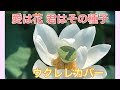 愛は花 君はその種子(たね)カバー